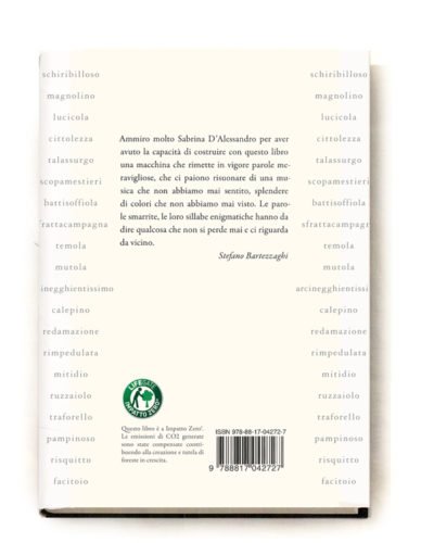 Sabrina D'Alessandro "Il Libro delle Parole Altrimenti Smarrite" Stefano Bartezzaghi, Rizzoli 2011