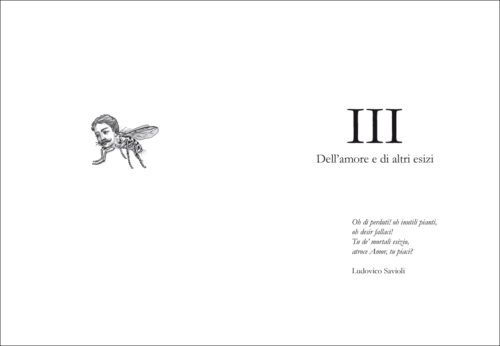 Sabrina D'Alessandro "Il Libro delle Parole Altrimenti Smarrite", Dell'amore e di altri esizi, Rizzoli 2011